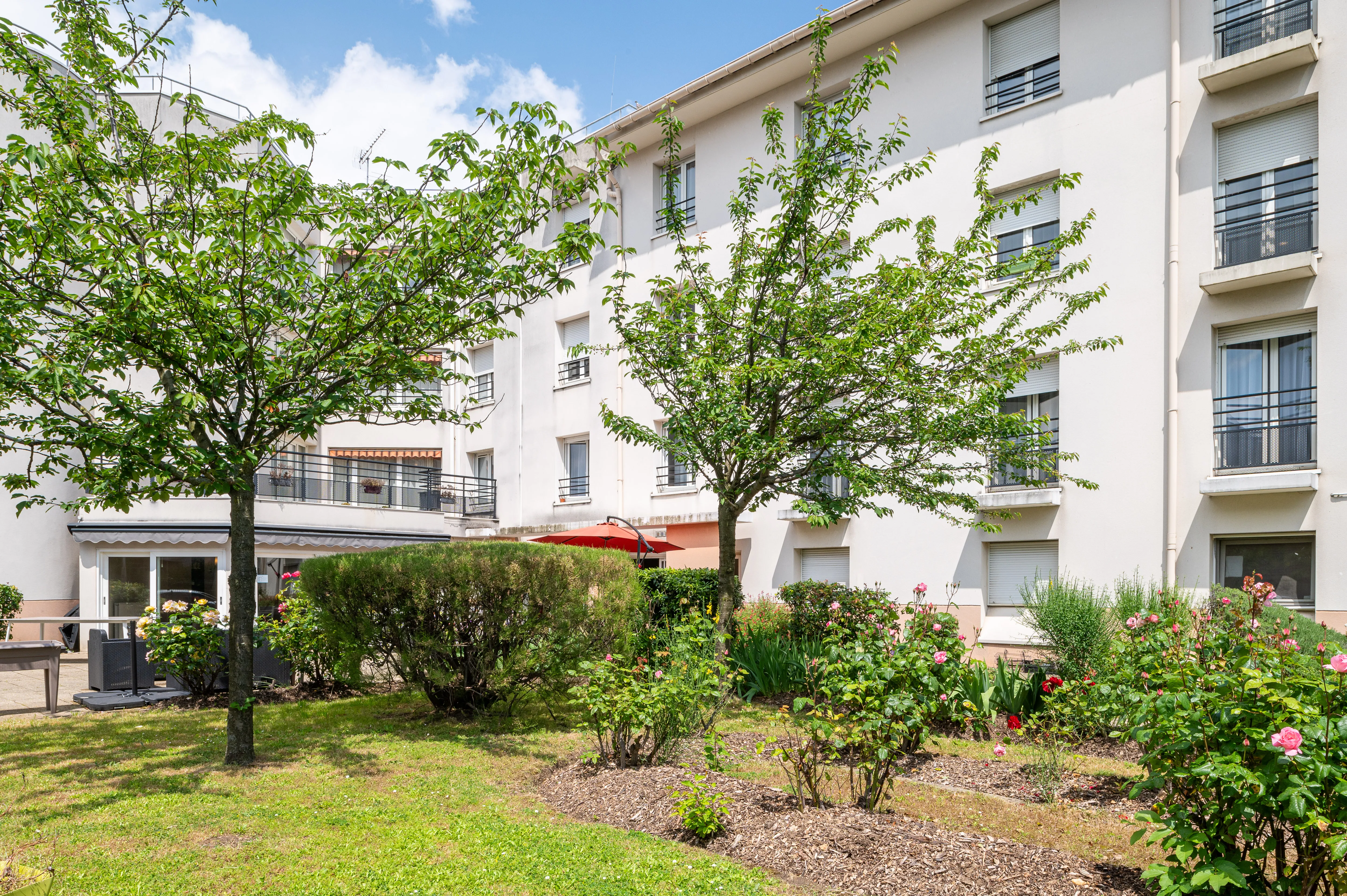 ASPIM___730_510__249_249__16076