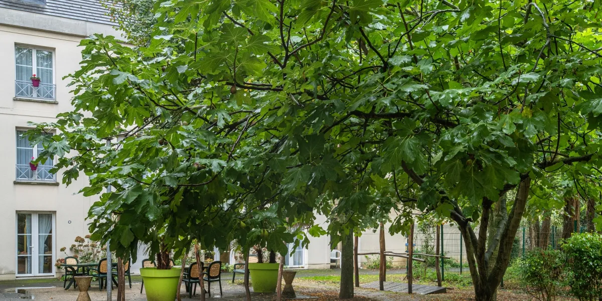 2020-LES%2520MATHURINS-BAGNEUX_37